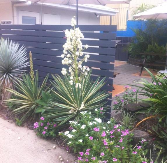 Coral Sea Apartments