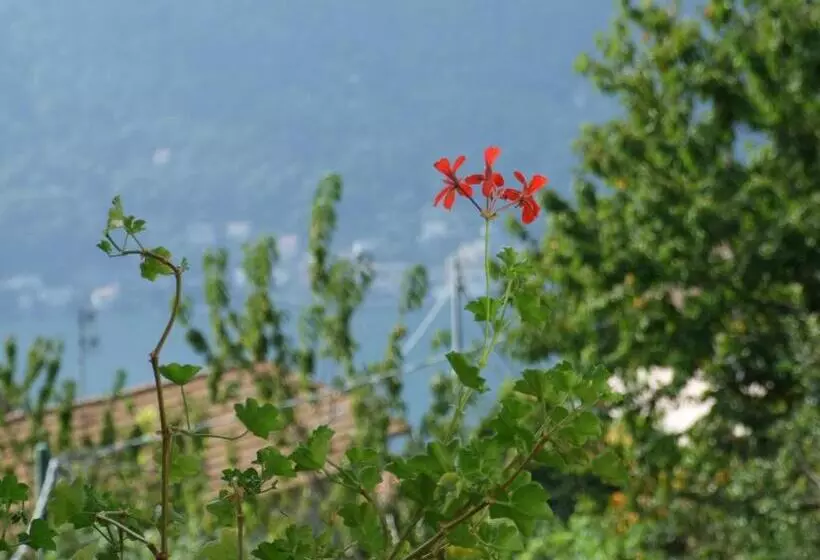 La Ruota Del Mulino