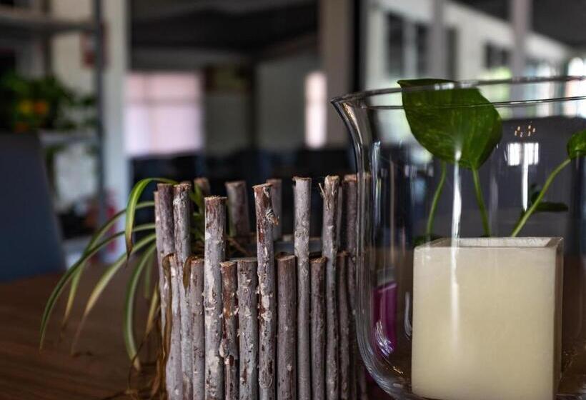 膳宿费 Hostal Victoria