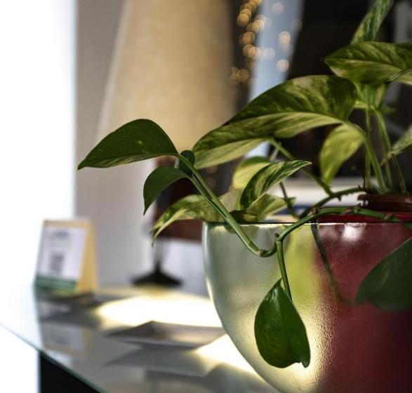 膳宿费 Hostal Victoria