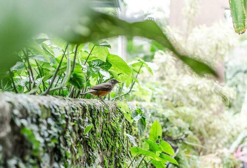 פנסיון Pousada Vila Da Praia