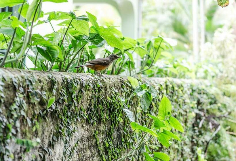 פנסיון Pousada Vila Da Praia