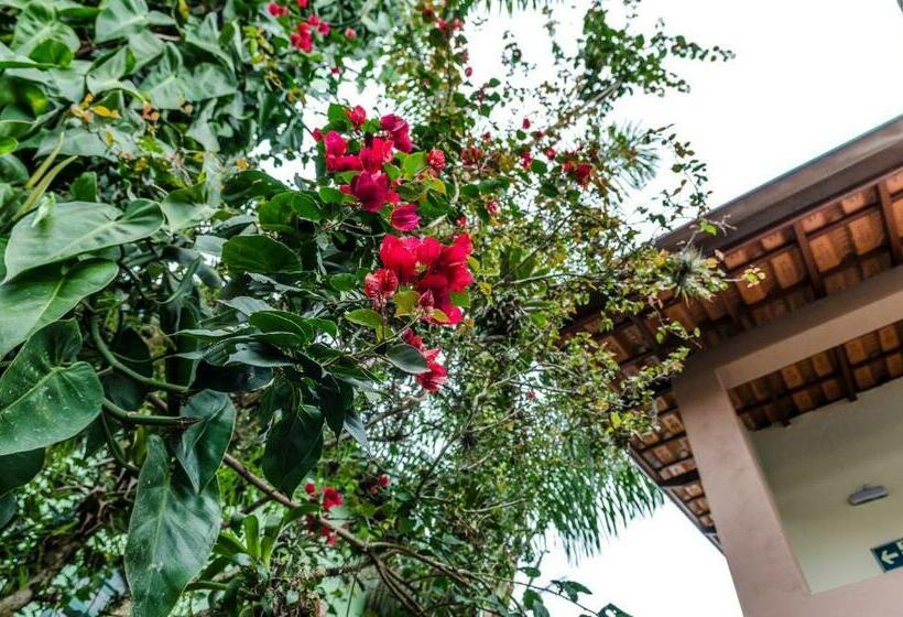 פנסיון Pousada Vila Da Praia