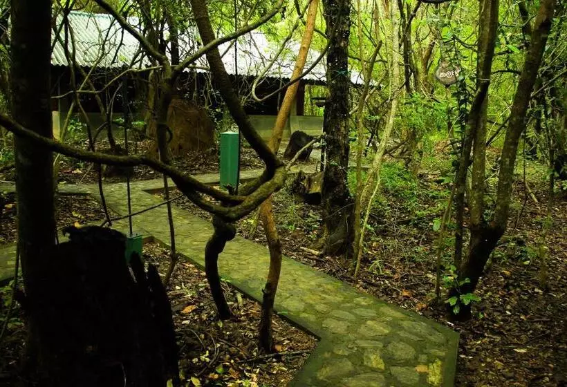 Akein Jungle Resort   Sigiriya