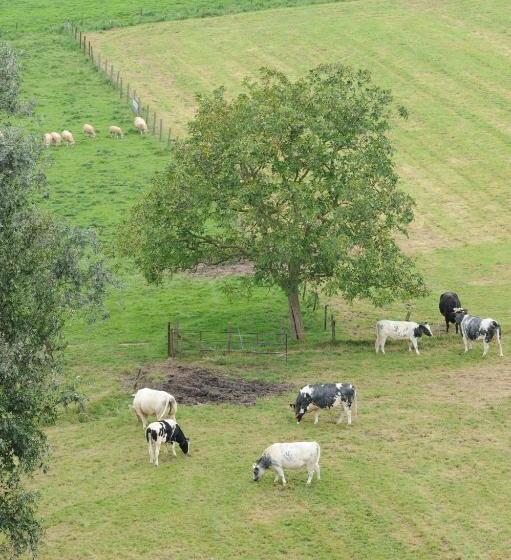 הוסטל De Watertoren