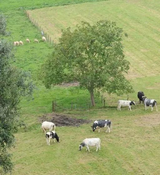 Retkeilymaja De Watertoren