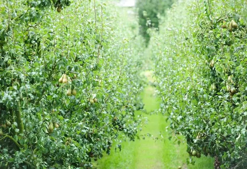 Retkeilymaja De Watertoren
