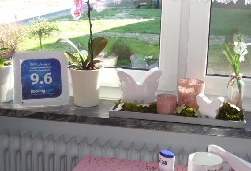 Heidetraum Pension & Ferienwohnung Arndt