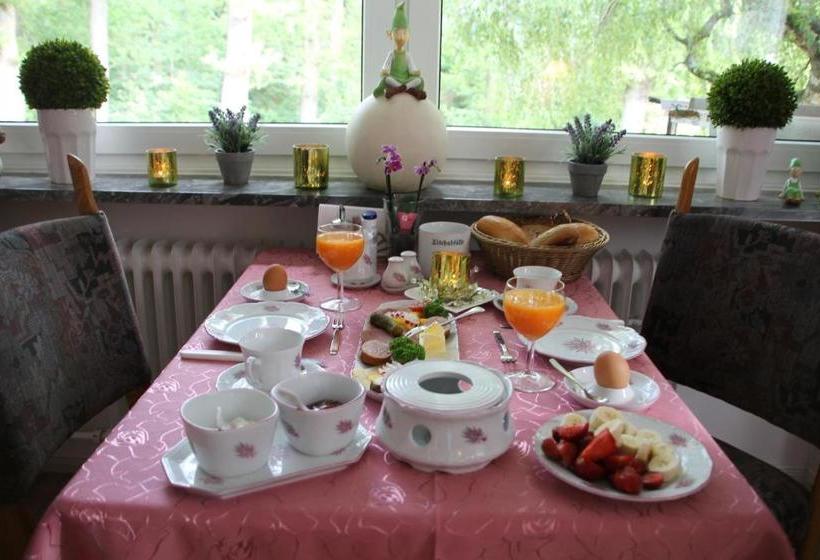 Heidetraum Pension & Ferienwohnung Arndt