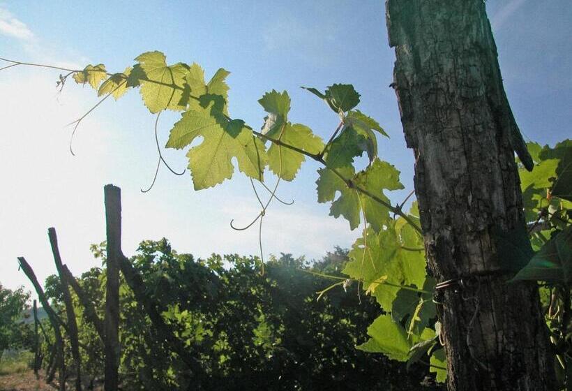 Szálloda Canonica Di Corteranzo