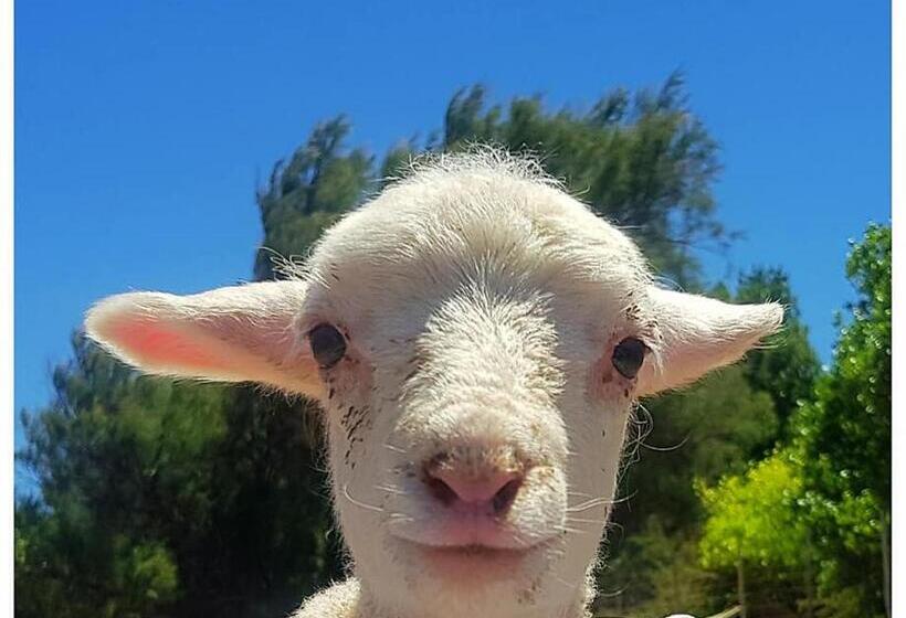 Отель New Holme Nature Lodge