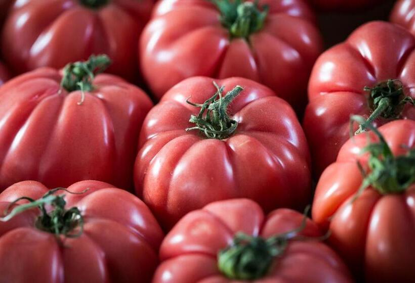 Pensionat Fonda Barris