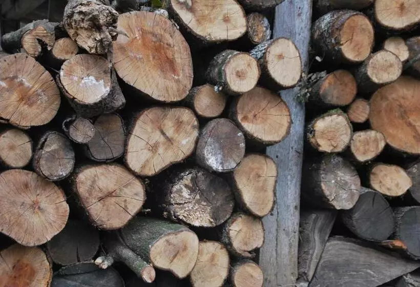 پانسیون Fonda Barris