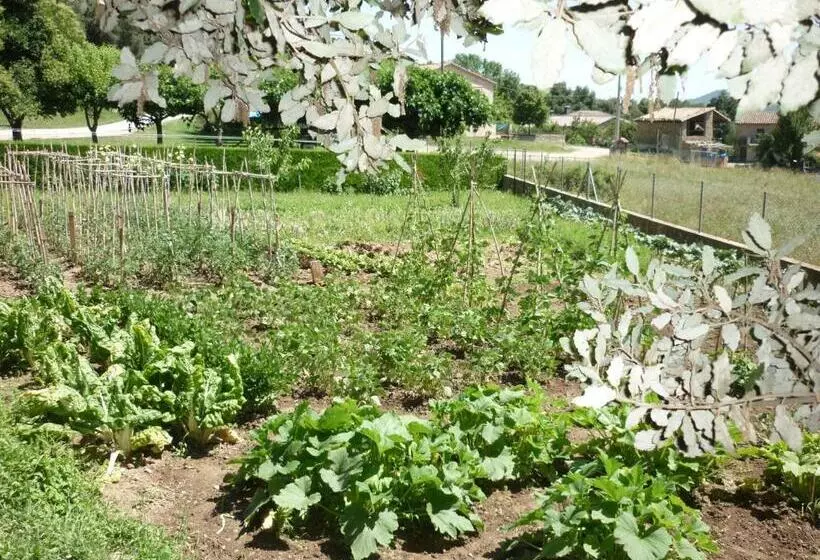 پانسیون Fonda Barris