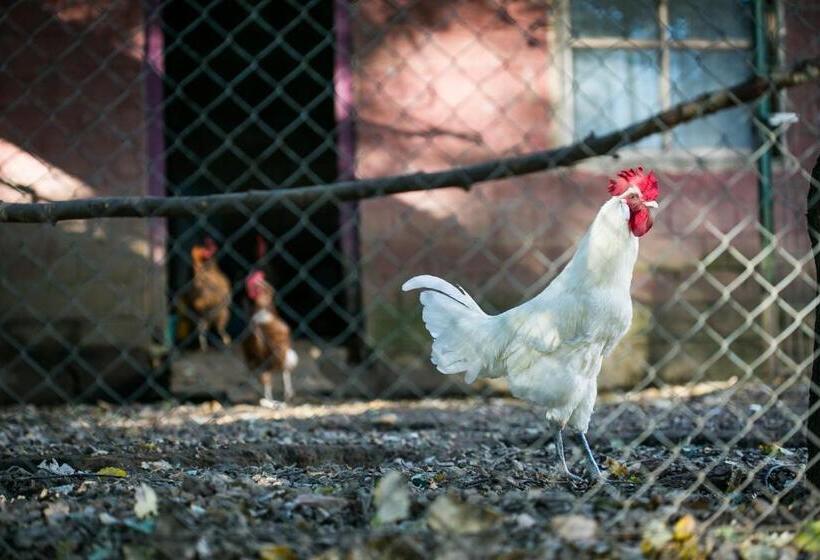 Pensionat Fonda Barris