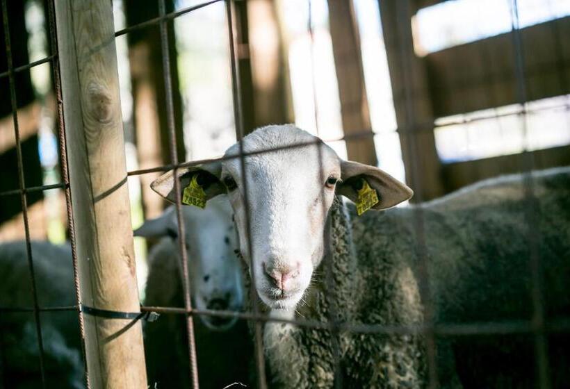 Pensionat Fonda Barris