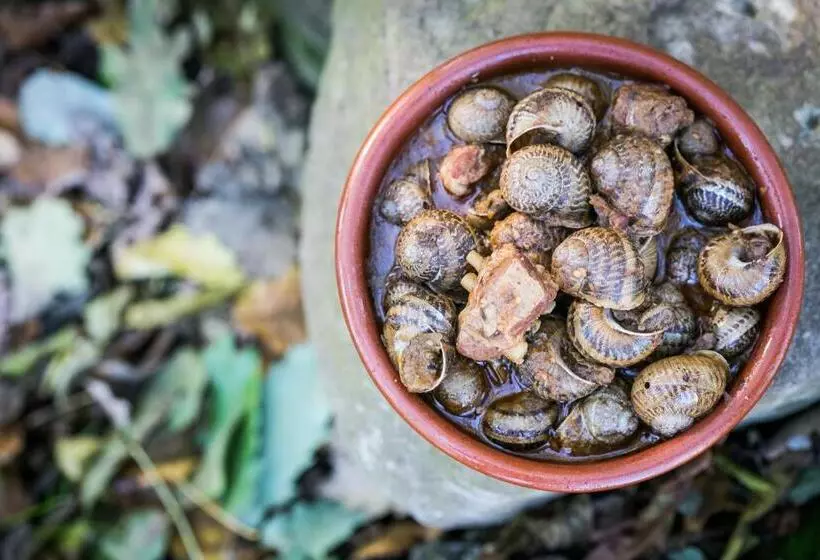 پانسیون Fonda Barris