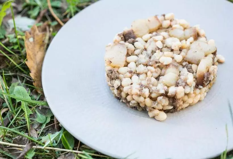 پانسیون Fonda Barris