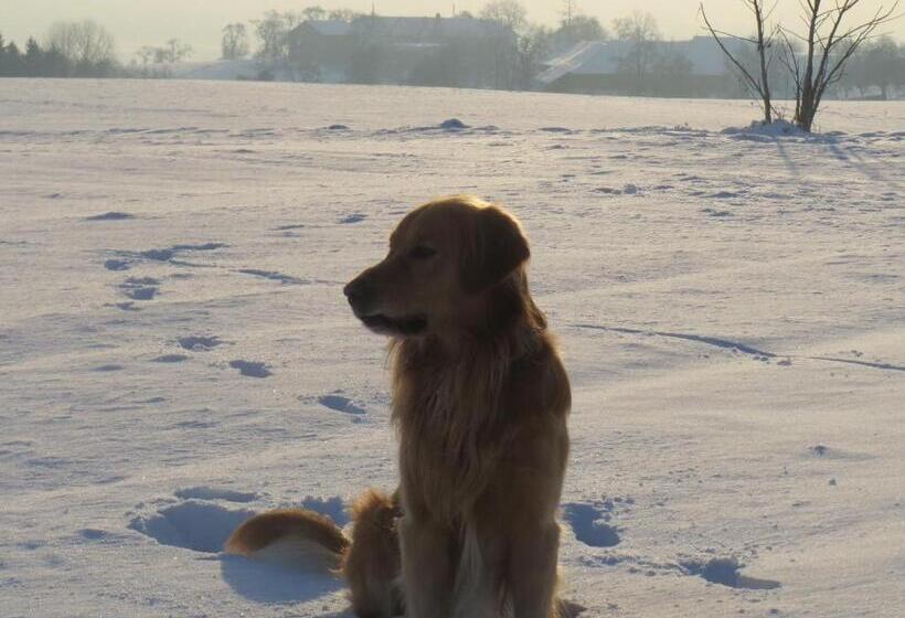 Пансион Gasthof Maly