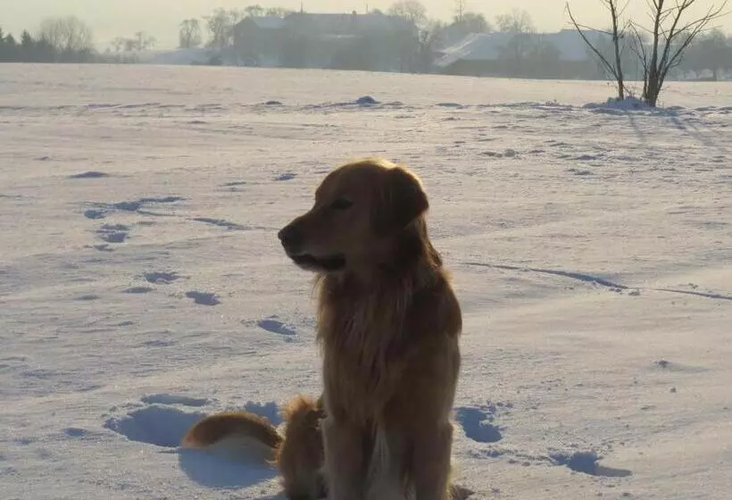 Majatalo Gasthof Maly