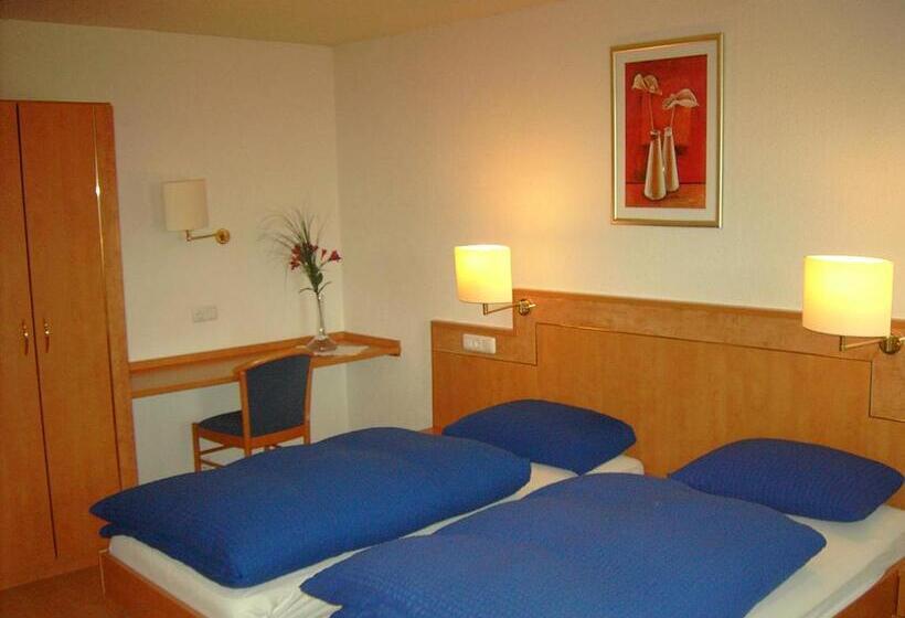 بنسيون Hessisches Haus