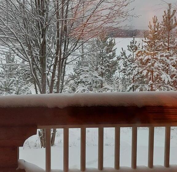 بنسيون Ollinmäki Vineyard