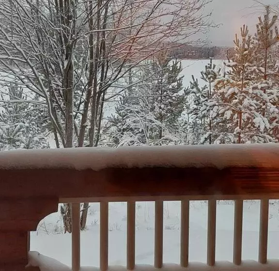 Majatalo Ollinmäki Vineyard