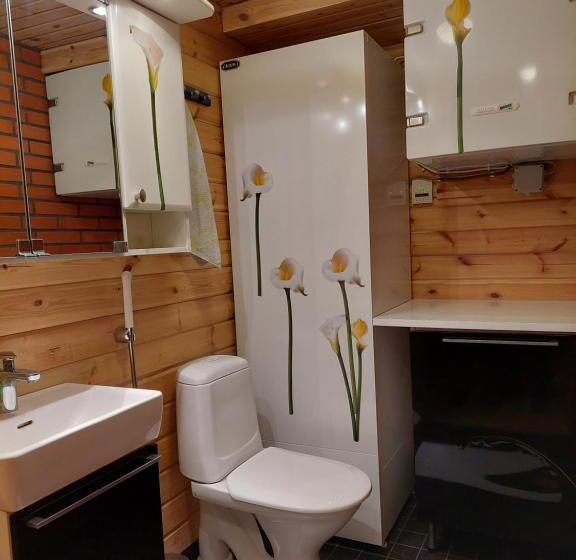 بنسيون Ollinmäki Vineyard