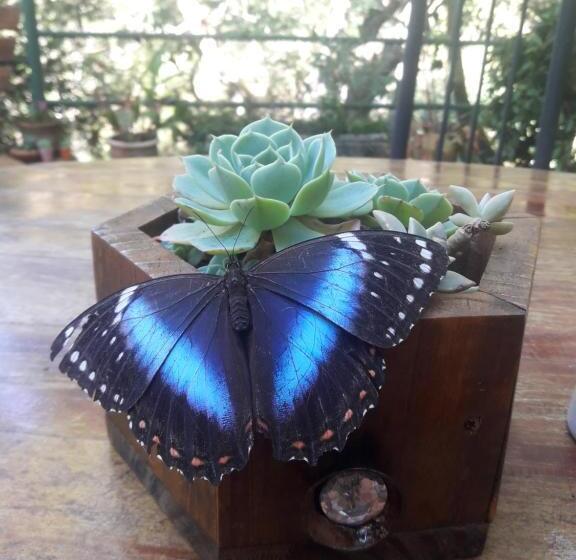 بنسيون Pousada Estância Rio Acima