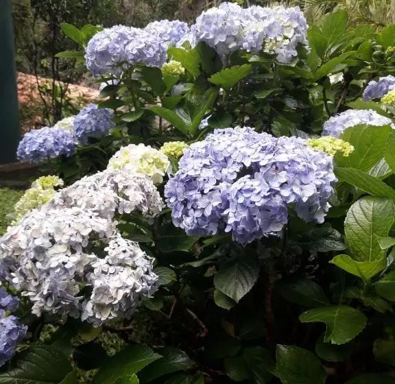 Majatalo Pousada Estância Rio Acima