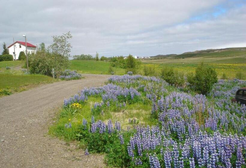 پانسیون Vinland Guesthouse