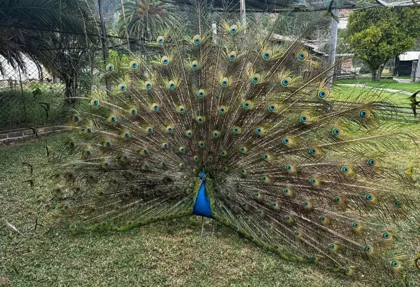 Retkeilymaja Finca San Pedro  Alojamiento Campestre Y Reserva Natural