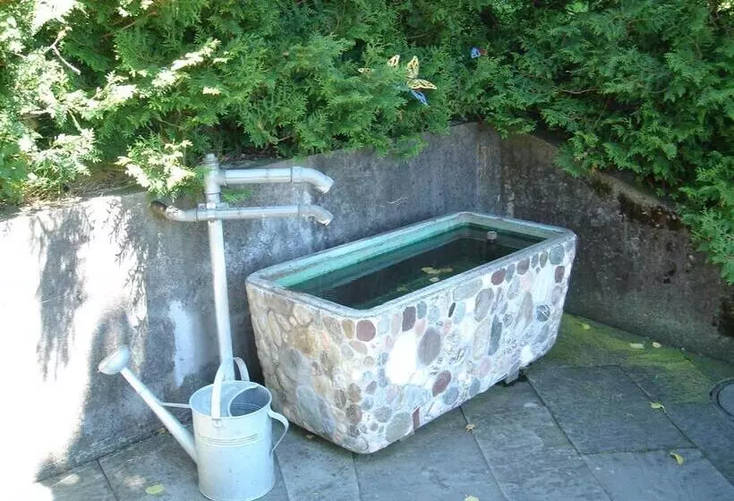 ユースホステル Gasthaus Bären Schlatt