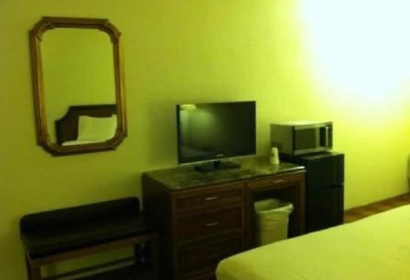 ユースホステル Waterford Inn