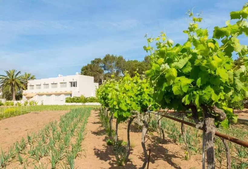 Apartamentos Marcelino  Formentera Break