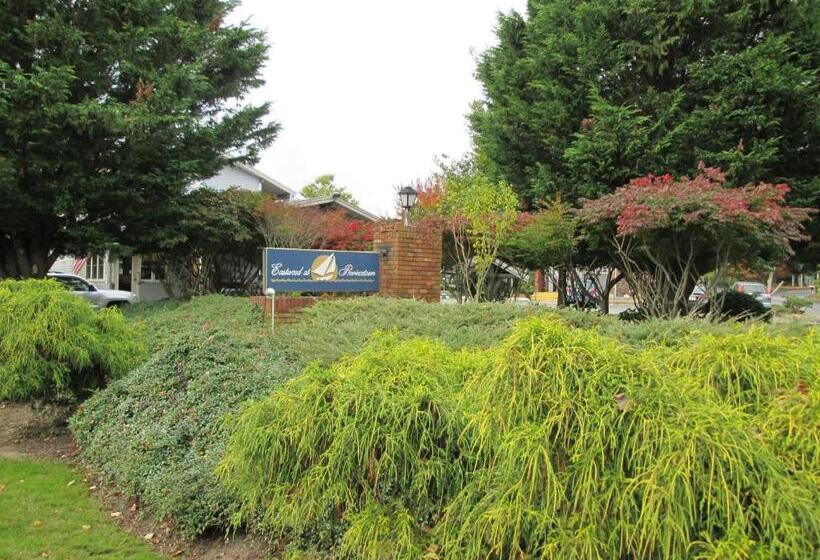 Eastwood At Provincetown