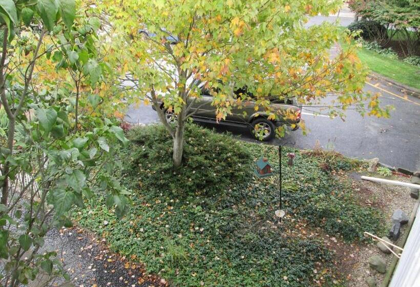 Eastwood At Provincetown