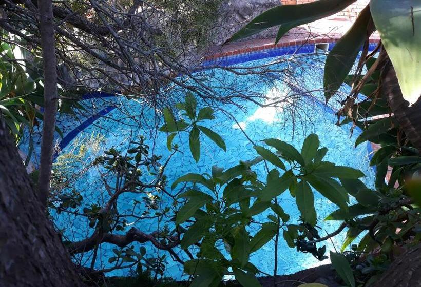 פנסיון Albert Road Garden Guest House