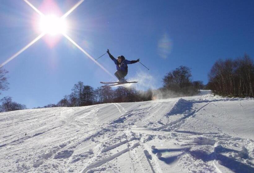 פנסיון Fujiyoshi