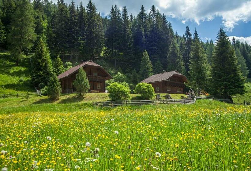 بنسيون Gasserhütte