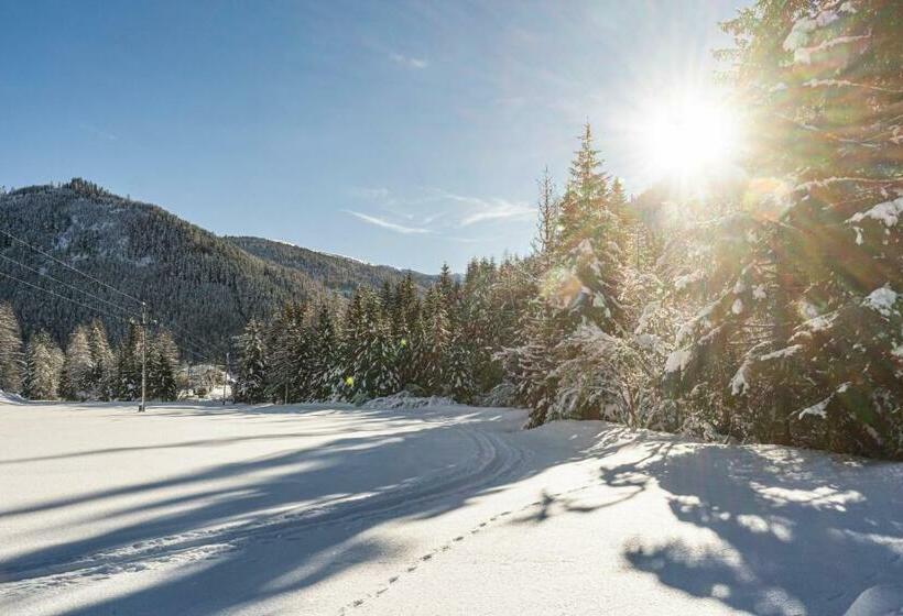 بنسيون Gasserhütte