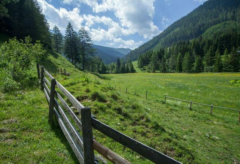 بنسيون Gasserhütte