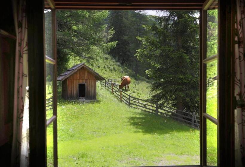 بنسيون Gasserhütte