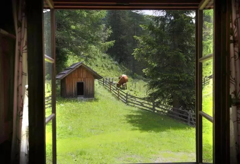 ペンション Gasserhütte