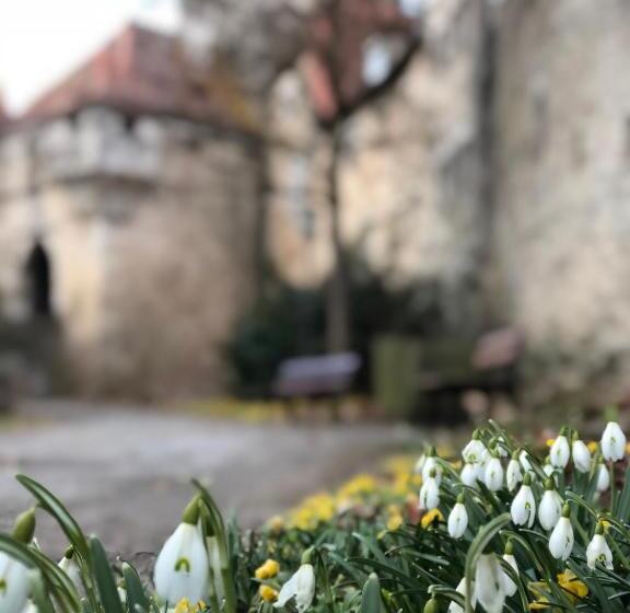 Pansiyon Gästehaus Eberlein