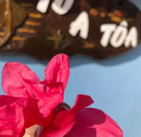 پانسیون Pousada Tô A Tôa
