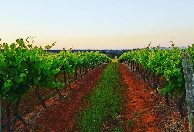 بنسيون Red Door Collective   Rdc Vineyard Estate, Luxury Adult Only Stay