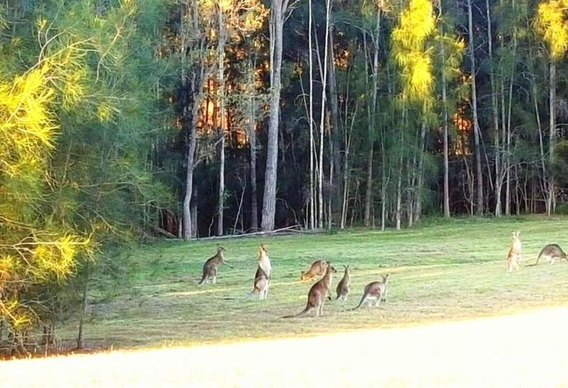 بنسيون Red Door Collective   Rdc Vineyard Estate, Luxury Adult Only Stay