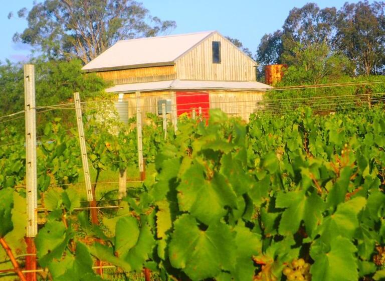 بنسيون Red Door Collective   Rdc Vineyard Estate, Luxury Adult Only Stay