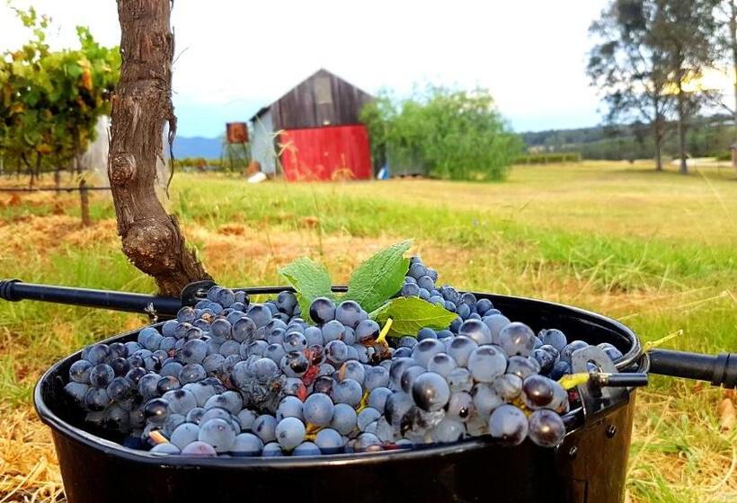 بنسيون Red Door Collective   Rdc Vineyard Estate, Luxury Adult Only Stay